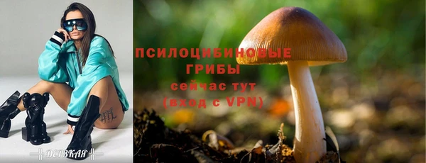 мдпв Мегион