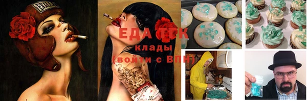 метадон Медногорск